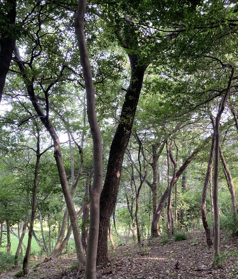 8E05F06B-8648-4AA3-B5C7-C6DD850F67FA