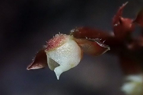 P9130162