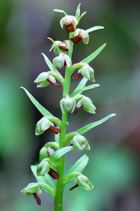 DCR09744・9747・9748・9750・9751・9753・9772・9775st2