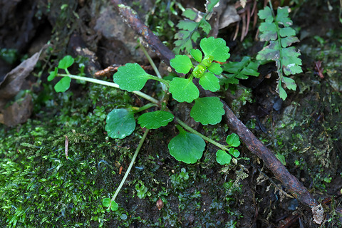 DSC05388