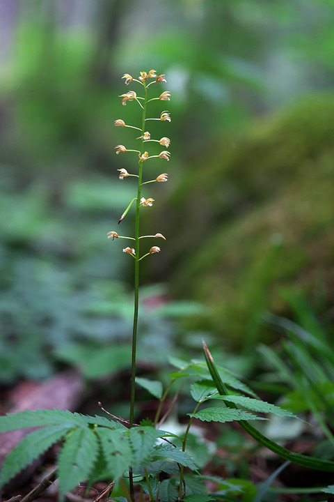 DSR03854_2