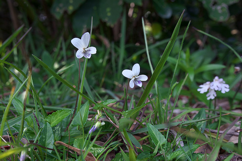 P3230124