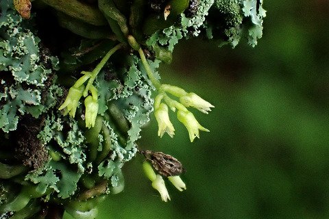 P7180051