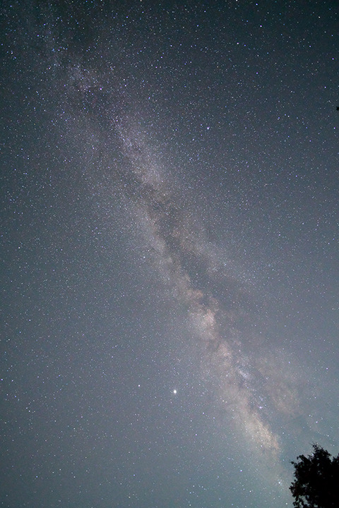 DSR09591
