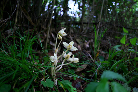 DSC08261