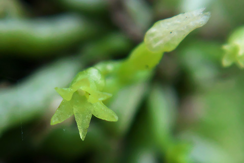 P7180029