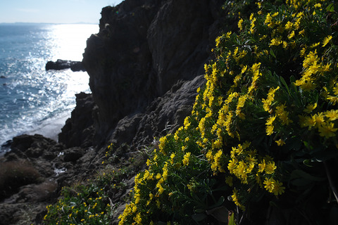 DSR08616_composite20221125210319