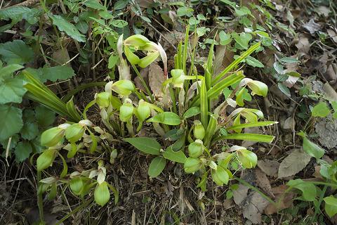 B0000324