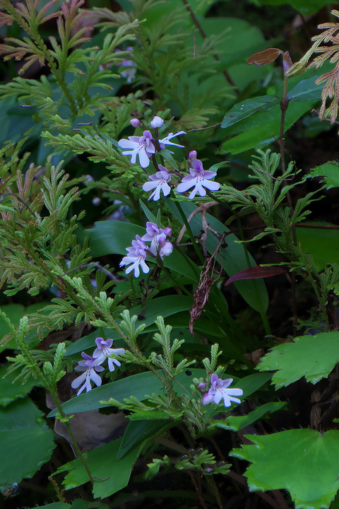 DSR02322_2