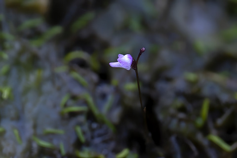 DCR05973-2