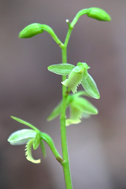 DSR09124_2