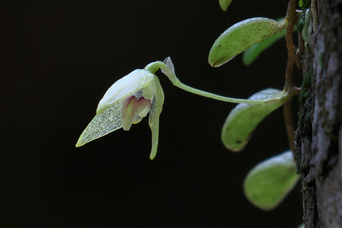 DSR05543_2
