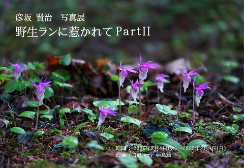 2025年 案内ハガキ_文面