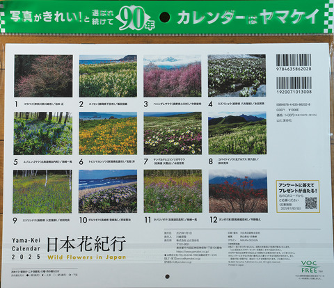 DCR04908