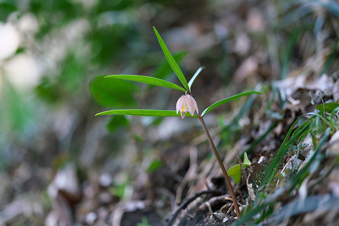 DSC01081
