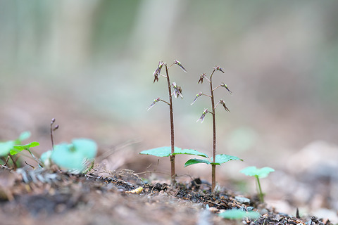 DSC00991