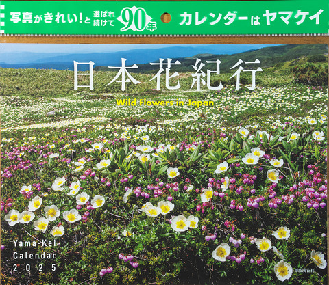 DCR04909