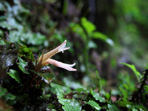 P7131032