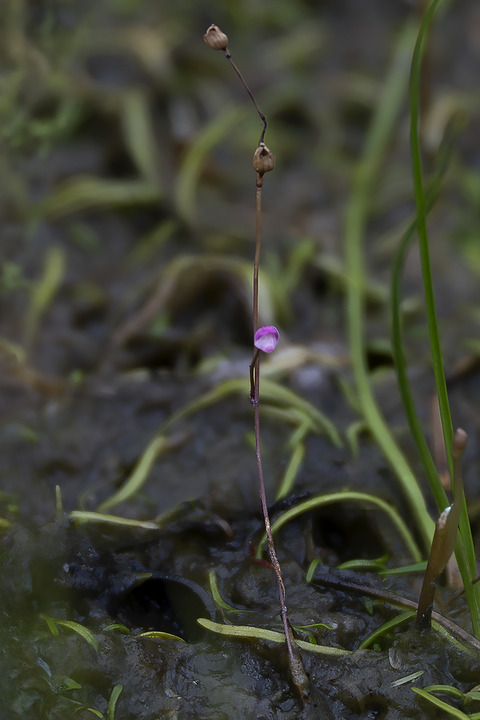 DSC03260