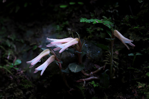 DSC03013・3014st