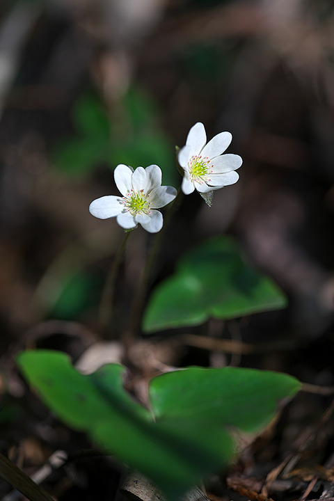 DSC00790