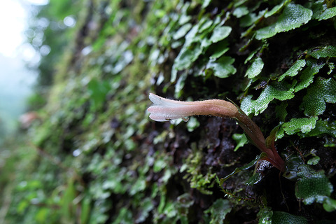 P7131018