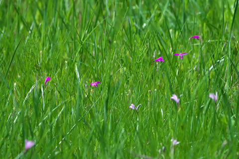 DCR09374・9375・9376・9381st