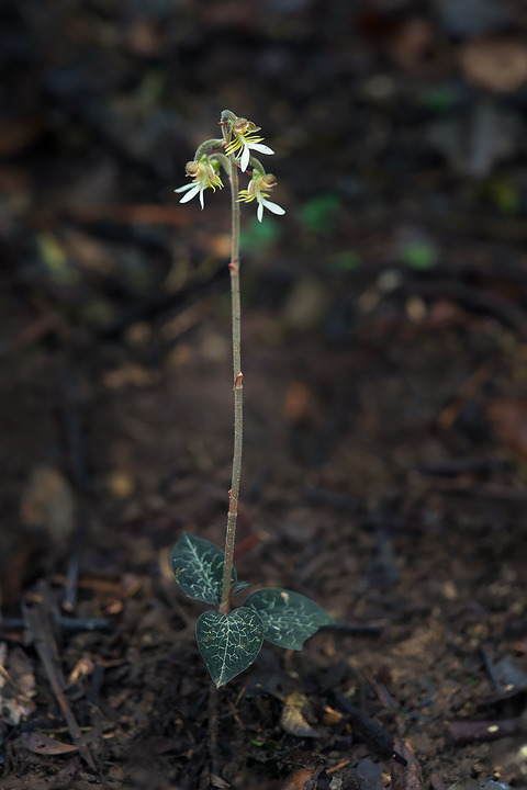 DCR05902・5911・5912st