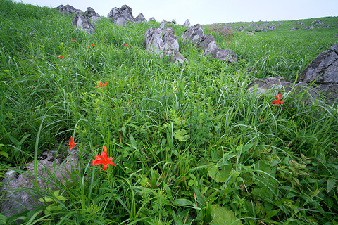 DSC08458