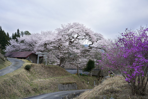 B0000139