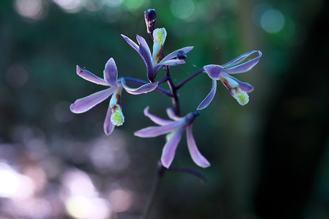 P6100669