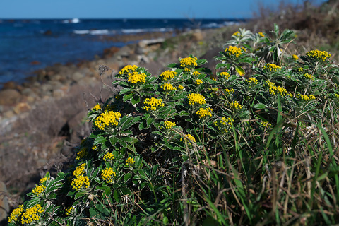 DCR07964_3