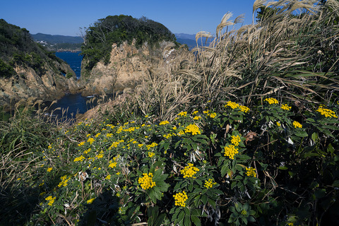 DSC08336