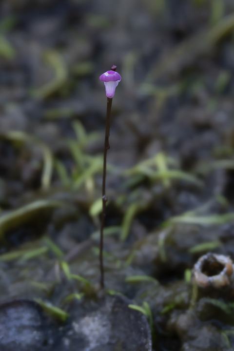 DSC03167