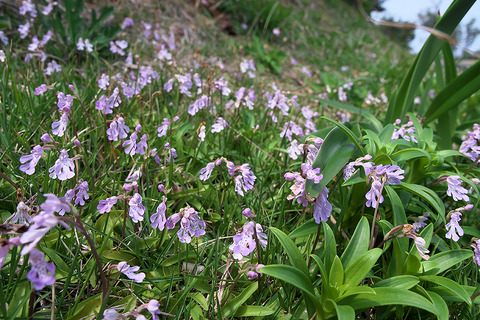 P3230181