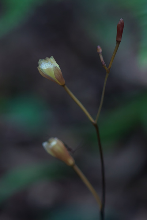 DSR05069