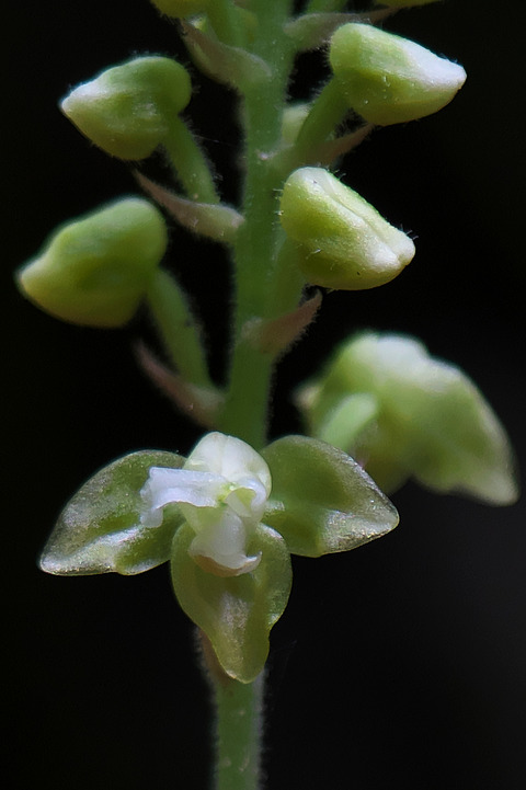DSR04716_2