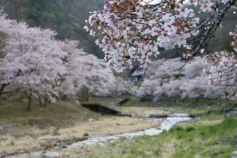 B0000125