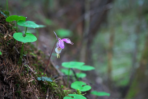 P6060583