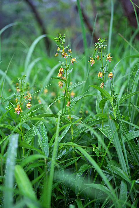 DSR06898