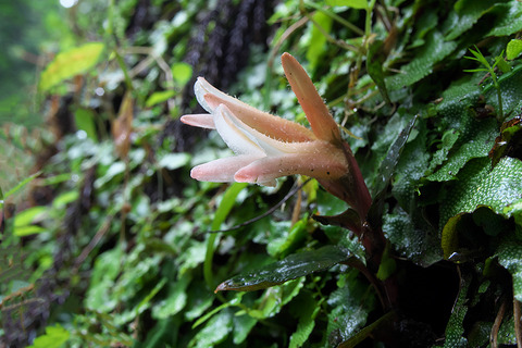 P7131025