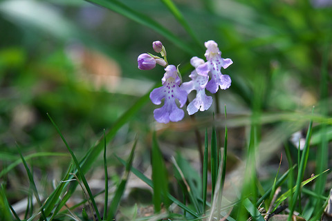 P3230146