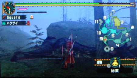 旧沼地のナルガさん ちんたら狩日誌