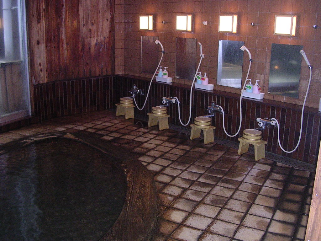 群馬県渋川市伊香保 橋本ホテル 温泉 ぴー ぼんの日々