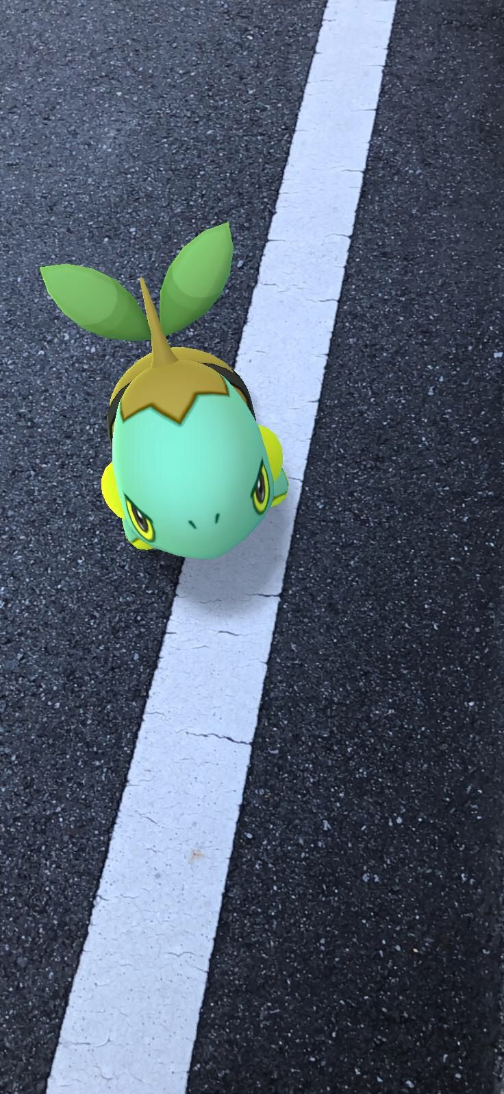 ポケモンgoで色違いのドダイトスをget Voodootalk S Blog ポケモンgoで色違いのドダイトスをget Voodootalk S Blog
