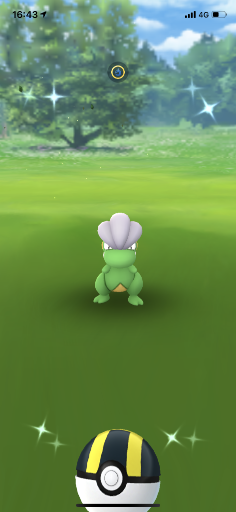 ポケモンgoで色違いのボーマンダをget Voodootalk S Blog