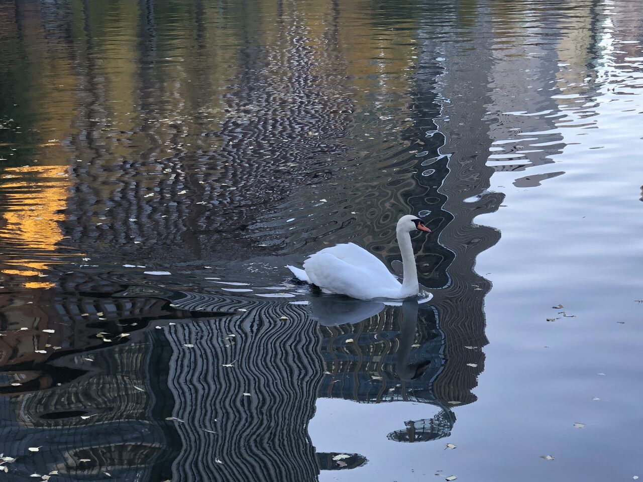 コストコ オンラインがかなり良い Voodootalk S Blog