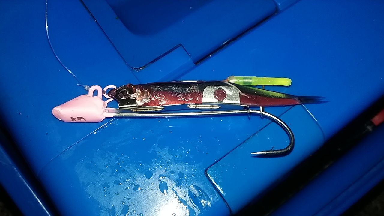 岸和田エリア 太刀魚 テンヤの引き釣り なにわ釣り日記 岸和田エリア 太刀魚 テンヤの引き釣り なにわ釣り日記