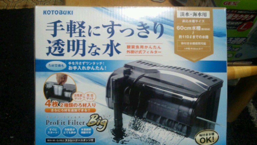 めだか水槽 雑居水槽メンテ 濾過器交換 北国のアクア 大自然