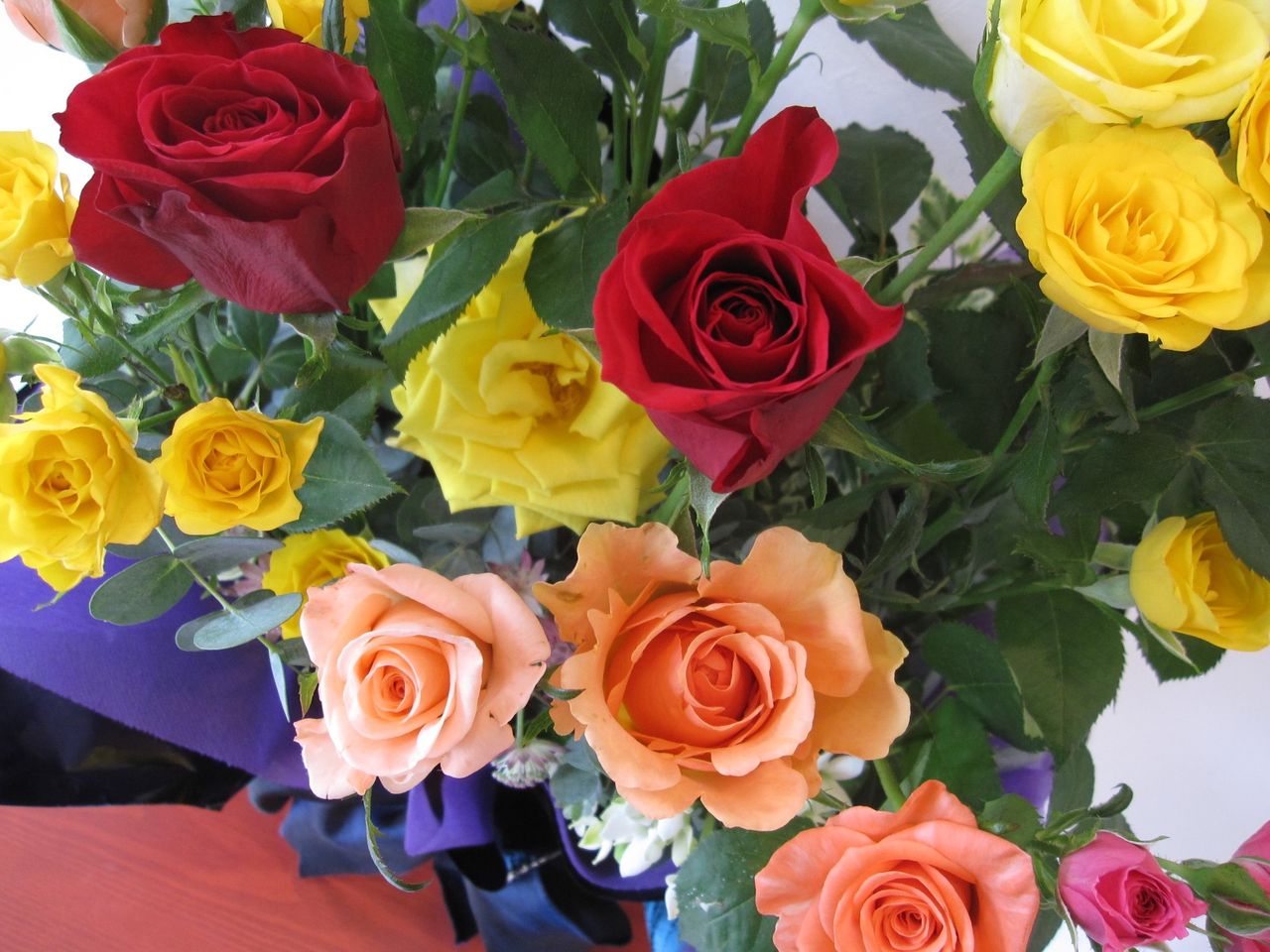 ピンクムスー キャサリンハーネルのドット柄トップス Voyage 北上尾